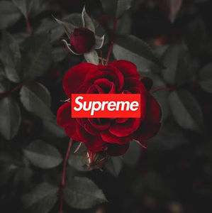 Meet your Posher, Nakoa